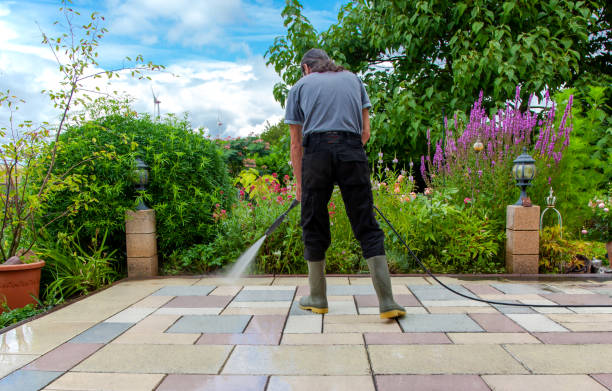 Best Winterizing Services  in Advance, MO